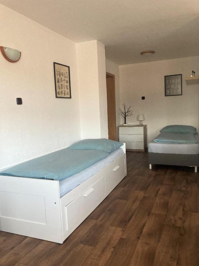 Apartman Stankov Buitenkant foto